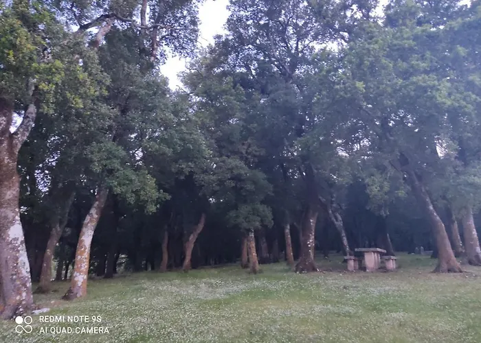 Rosegarden Sami (Kefalonia)