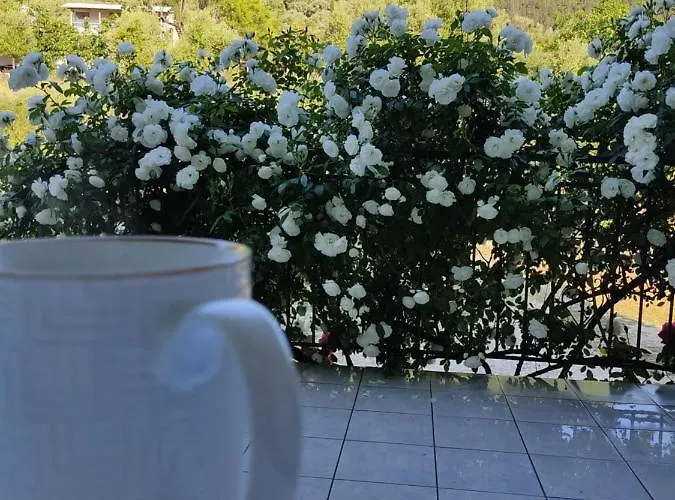 Casa de Férias Rosegarden Sami (Kefalonia)