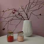 Rosegarden 사미