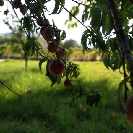 Rosegarden Tatil Evi