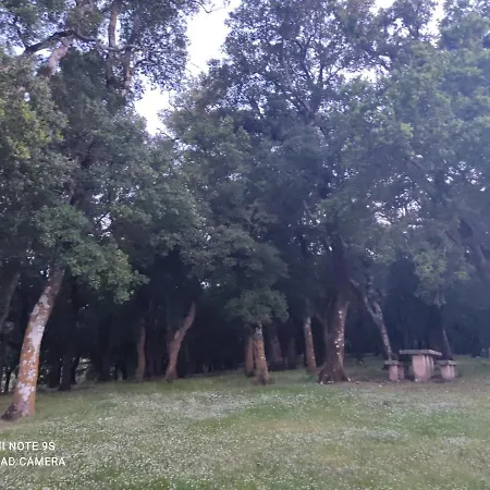 Rosegarden Sami (Kefalonia)